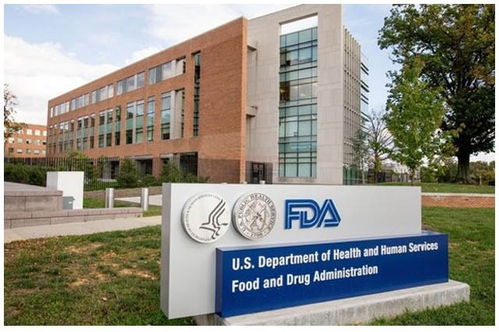 湛江FDA认证机构与信息咨询服务指南