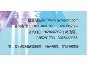 2017-2023年双飞人药水市场营销模式分析与投资商机报告